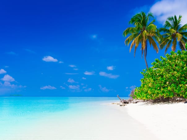 Abu Dhabi & Maldives